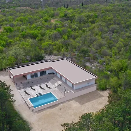 Forest Idyll By Guide