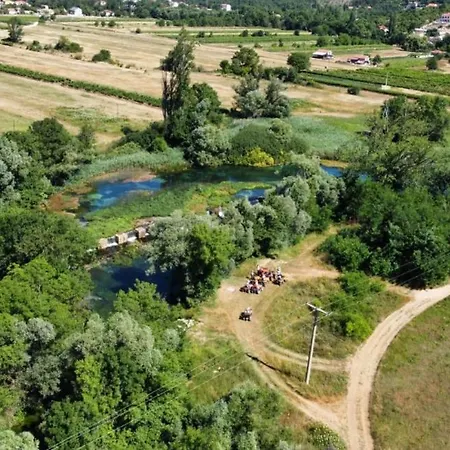 Forest Idyll By Guide *