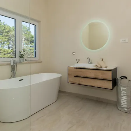 Forest Idyll By Guide * Krivodol